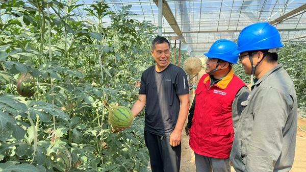 國網三門峽供電公司“優質電”助農戶增產增收