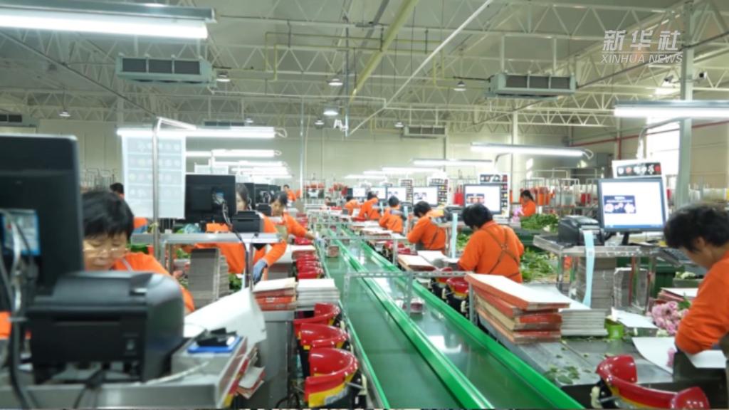 國網日照供電公司電力賦能地方經濟高質量發展