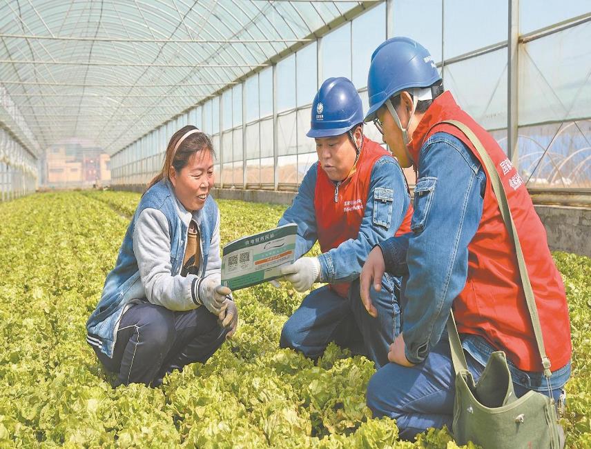 河南長葛市供電公司多舉措助力鄉村振興